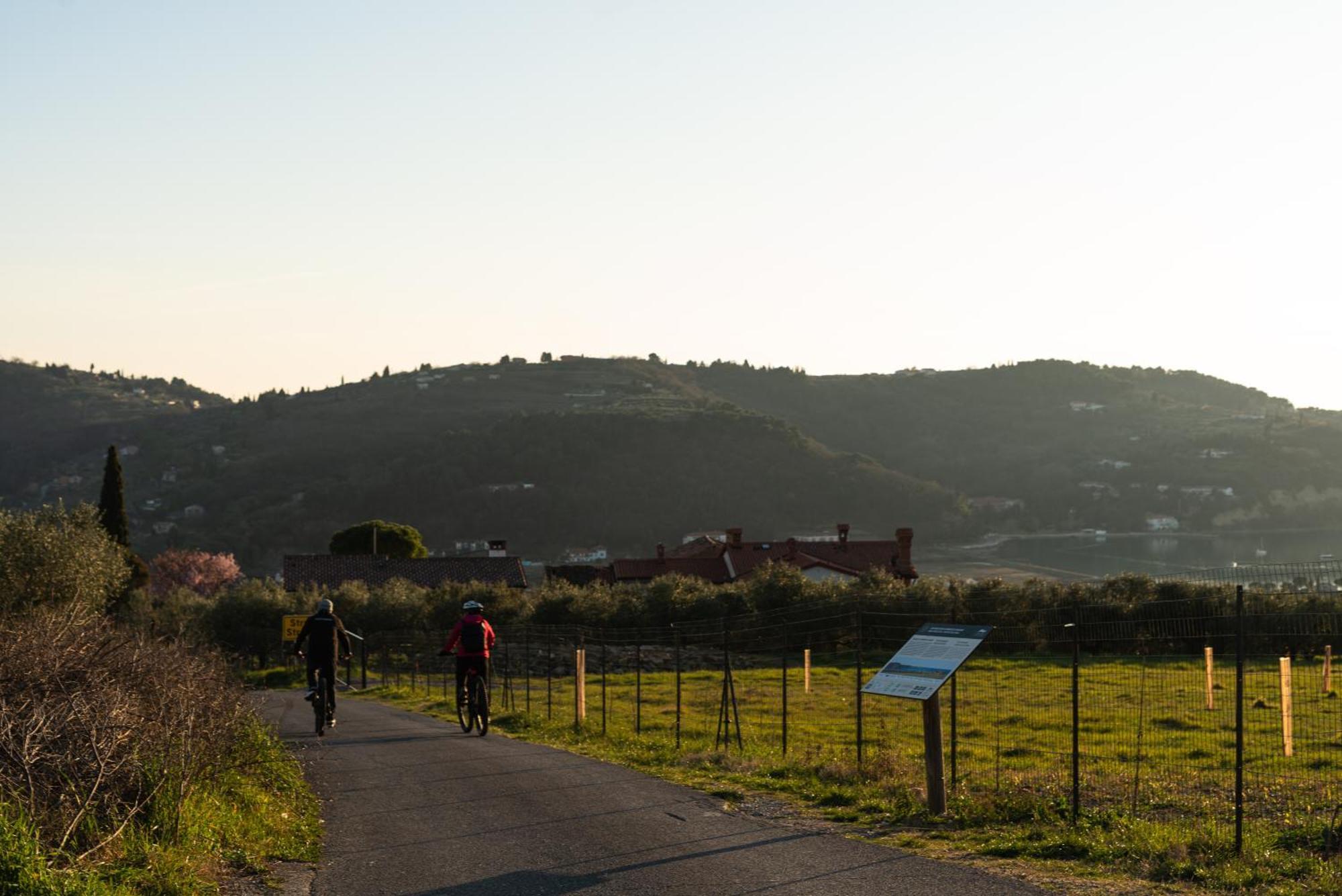 Villa Yadranka With Sea View Strunjan Chambre photo